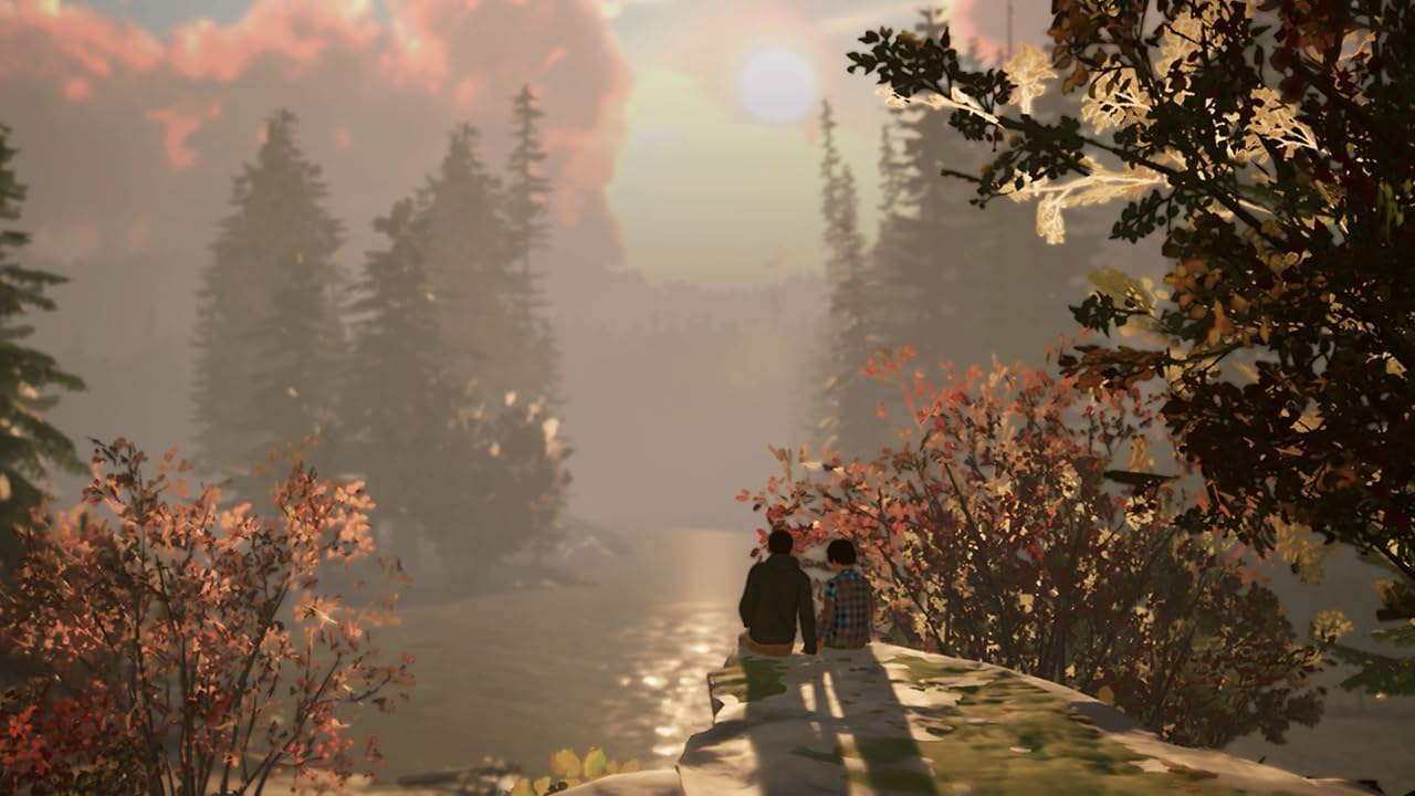 Life is Strange 2 (Code in a Box) [Nintendo Switch] Neu