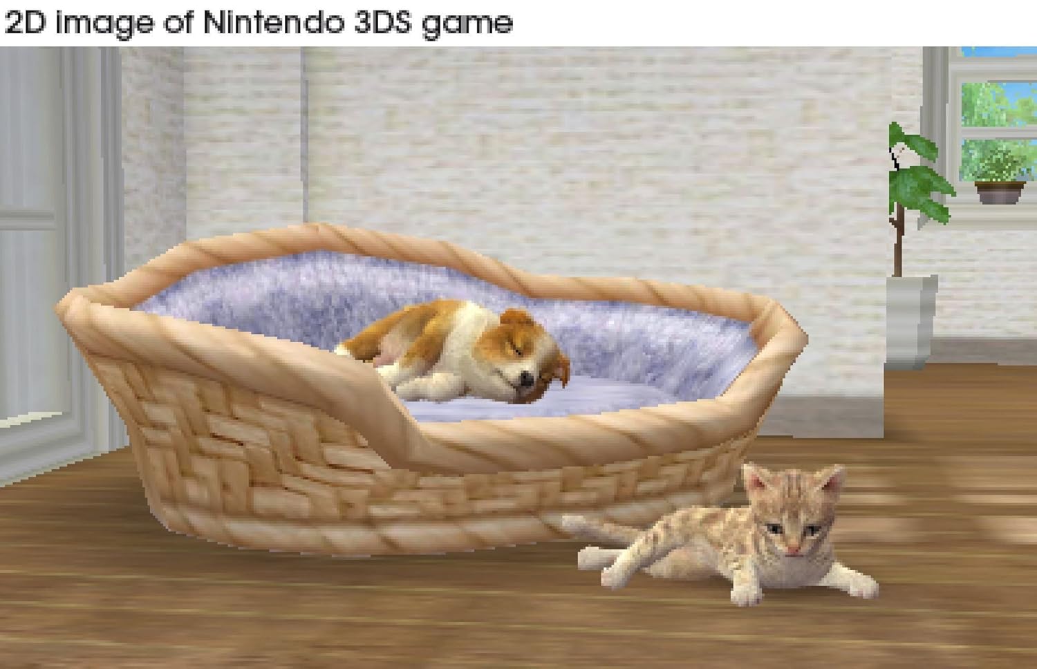 Nintendogs + Cats: Zwergpudel & Neue Freunde Nintendo 3DS *gebraucht
