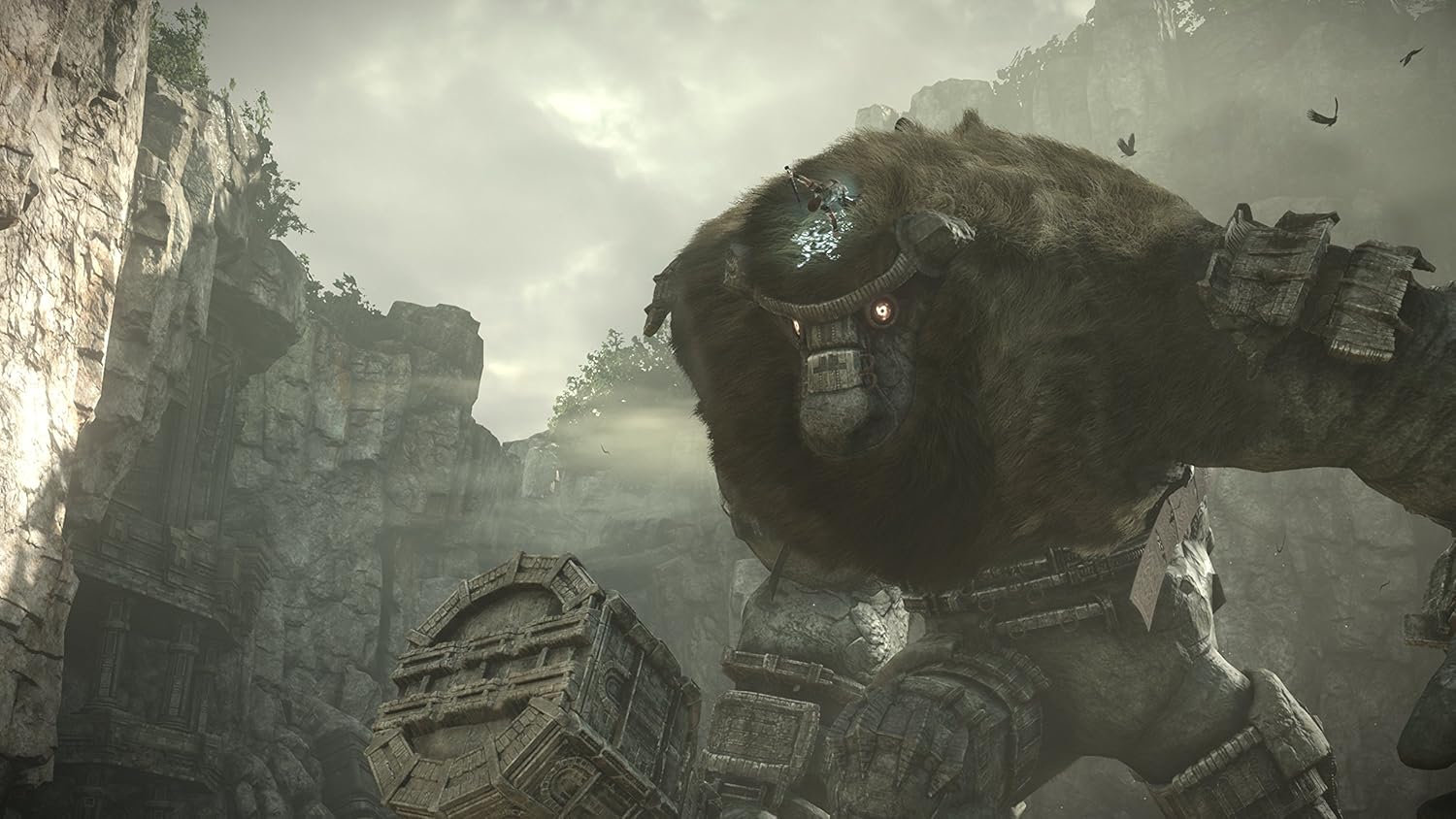 Shadow of the Colossus PS4 *gebraucht
