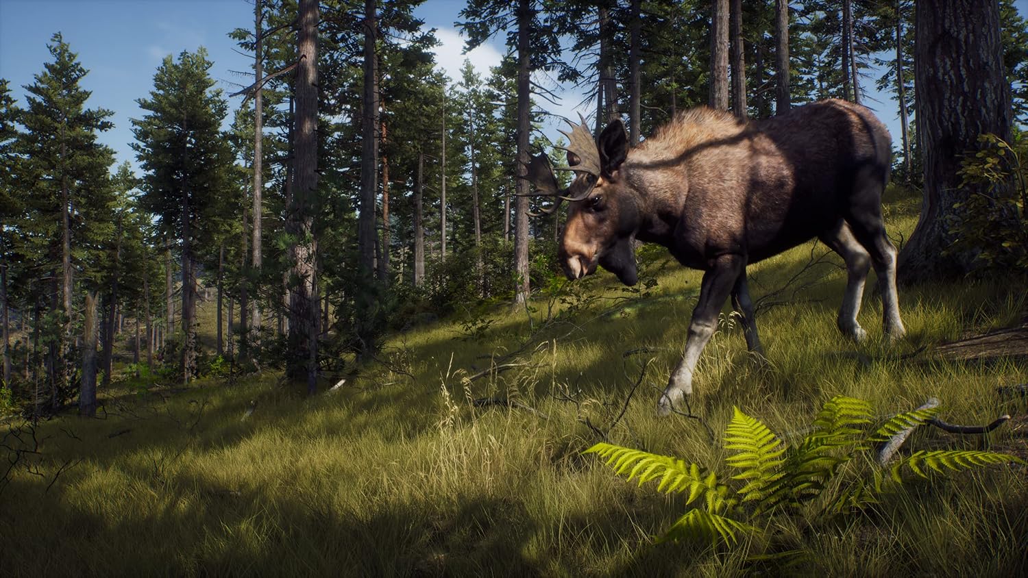 Way of the Hunter PS5 *gebraucht