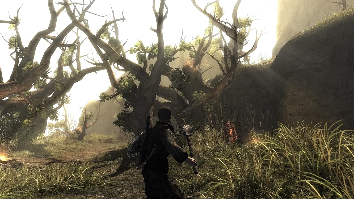 Risen Nintendo Switch *gebraucht
